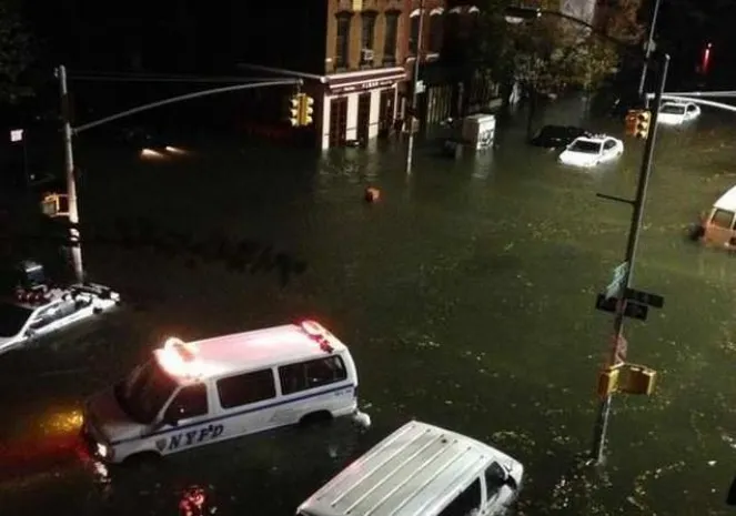 Страховщик из РК выплатил свыше $2 млн за ураган «Сэнди»Эксклюзив