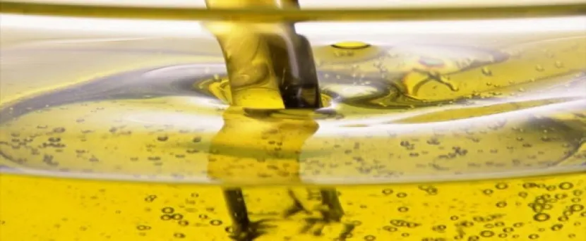 Производители подсолнечного масла в Казахстане устроили экспортную экспансию