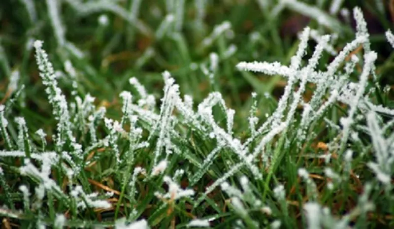 Штормовое предупреждение объявлено в ряде областей Казахстана