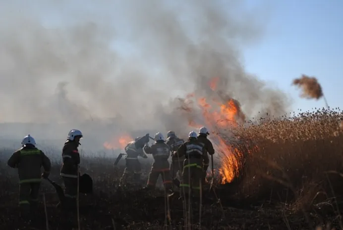 В Алматы горит 6 га сухостоя