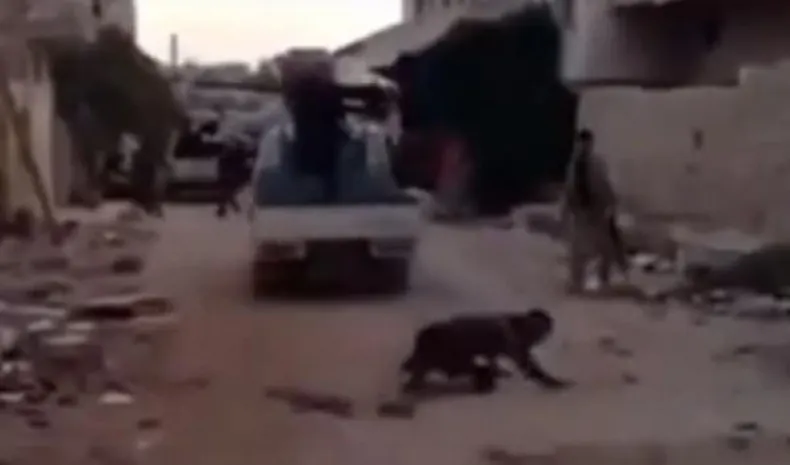 Еще одна неудача боевика ИГИЛ (ВИДЕО)