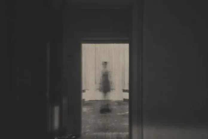 Художественные фото работы Джордана Салливана