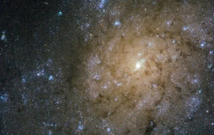 NASA показало снимок галактики с микроквазаром