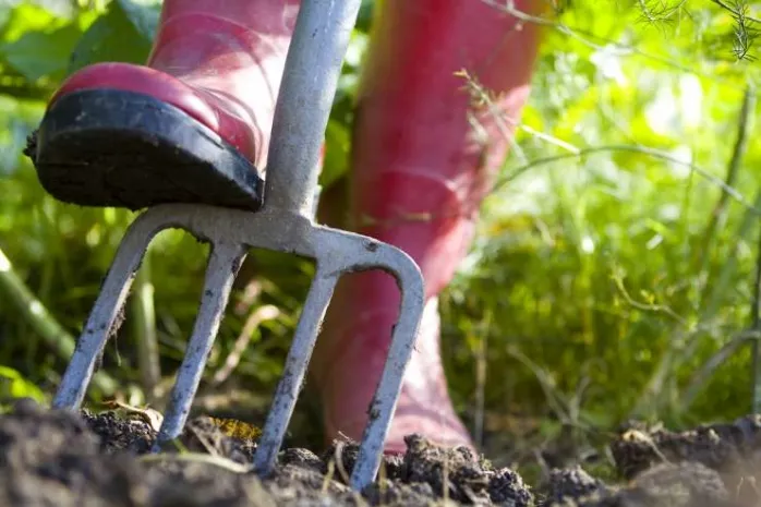 В Казахстане 28 сентября впервые будет отмечаться День труда