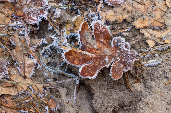Заморозки и грозы: ухудшится погода в шести областях Казахстана
