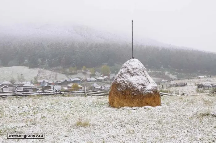 Потерявшегося в Костанае ребенка нашли в стогу сена