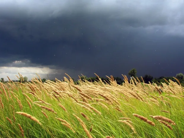 Штормовое предупреждение объявлено в 12 областях Казахстана