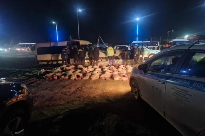 Крупный факт браконьерства выявлен в Кызылорде