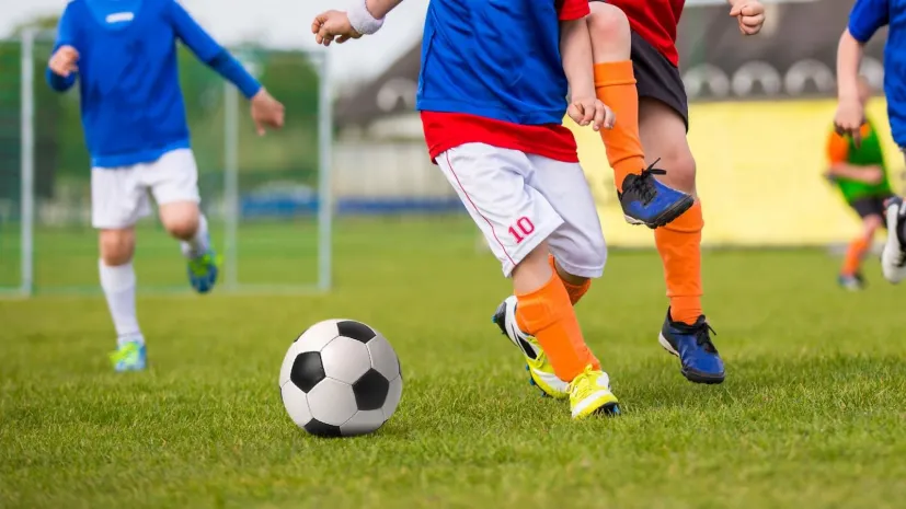 Насколько снизились инвестиции в сферу спорта и искусства в РК