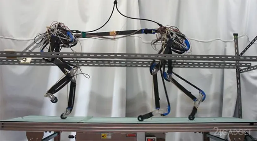 Четвероногий робот Pneupard сделал первые шаги