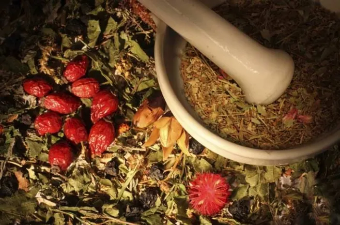 Медики Казахстана поддерживают развитие народной медициныЭксклюзив