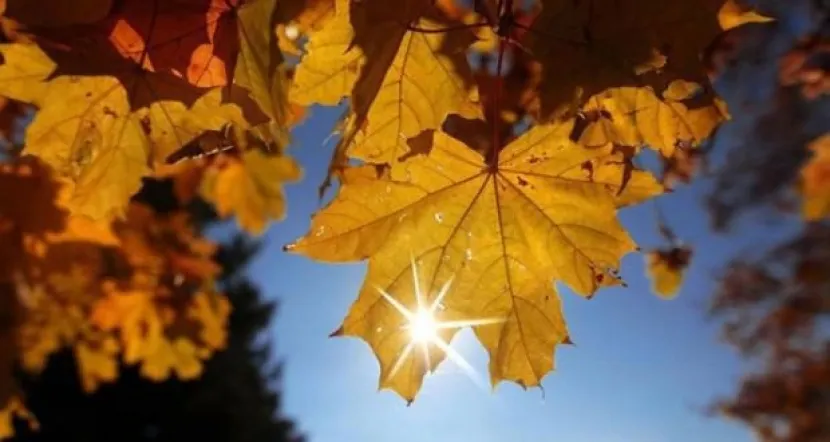 На севере Казахстана ожидаются дождиЭксклюзив