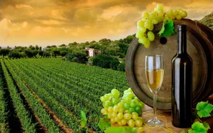 Миллион россиян в этом году не приедут в Грузию