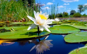 Повышение температуры до 39 градусов ожидается в Казахстане