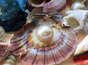 Установлен мировой рекорд аукционной цены за природную жемчужину