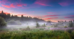 Туман и усиление ветра ожидаются в некоторых областях Казахстана