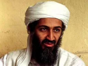 В сети появилось видео авиакатастрофы с самолетом семьи бен Ладена (ВИДЕО)