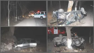 Помещен под стражу виновный в ДТП с тремя погибшими в Алматинской области