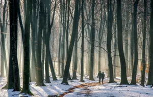 Преступники под видом полицейских грабили подростков в Алматы