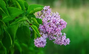 Понижение температуры воздуха ожидается в ряде областей Казахстана