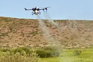 75 тысяч гектаров обработано от саранчи в Карагандинской области