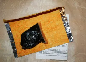 Партию мумие изъяли казахстанские таможенники у россиянина