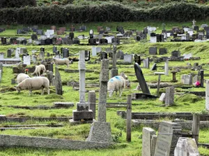 Фанатики выкопали тело новорожденной из-за веры ее родителей