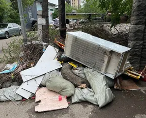 Какой штраф грозит за выброс крупногабаритного мусора в городе
