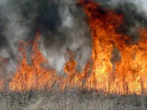 Два человека погибли при тушении пожара в Карагандинской области