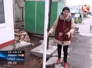 В Жамбылской области погибла девушка: на нее рухнул трухлявый дуб