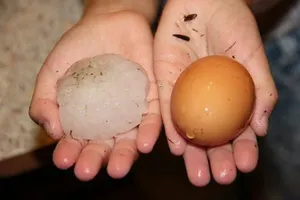 Град размером с яйцо побил скот и крыши домов в Шуском районе