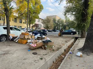 48 тысяч экологических преступлений выявлено с апреля 2024 в РК