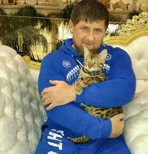 Рамзан Кадыров потерял своего кота