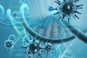 Может ли коронавирус встраиваться в геном человека – эксперт