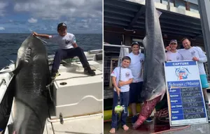 Трехсоткилограммовую акулу поймал восьмилетний мальчик