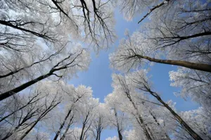 В Казахстане прогнозируют потепление