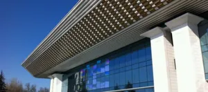 Автора порноролика на дисплее Дворца Республики задержала полиция