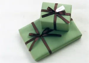 В Алматы отблагодарят врачей смартфонами