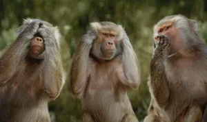 Чего ожидают от 2016 года казахстанские министры и мажилисмены