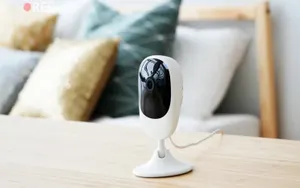 Странное существо попало на видео в США