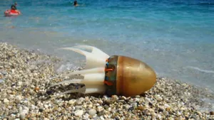 Робот, который умеет двигаться как осьминог