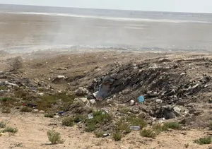 Свыше 9 тысяч экологических правонарушений выявлено в Актау