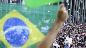 Забастовка дальнобойщиков привела к смерти 70 миллионов цыплят в Бразилии