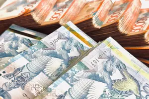 Тимур Сулейменов теңге жағдайы туралы айтты