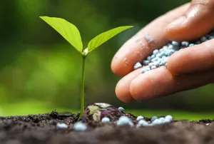 Ученые заявили о резко снижающихся запасах фосфора на планете