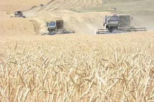 Президент Казахстана подписал закон «О сельскохозяйственных кооперативах»