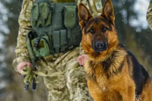 Четырех иностранцев задержали на границе в Актюбинской области