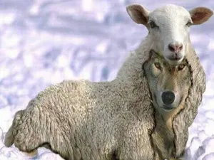 В Талдыкоргане женщина-лжеполицейский вымогала деньги