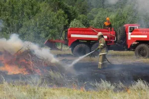 Более 50 миллиардов тенге выдали на приобретение противопожарной техники для лесных хозяйств
