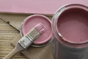 За два миллиона тенге планировали приобрести банку краски в области Улытау